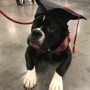 Meet your Posher, Kelli